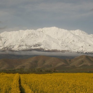 لرستان ازنا الیگودرز بروجرد بختیاری اشترانکوه زاگرس دنا سد محیط زیست حفاظت شده ایران صدای ایرانیان کمیته محیط زیست زاگرس voi voiceofiranian azna mohitzist